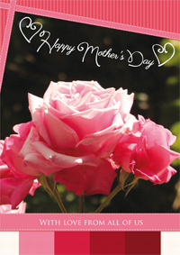Rose for Mother's Day